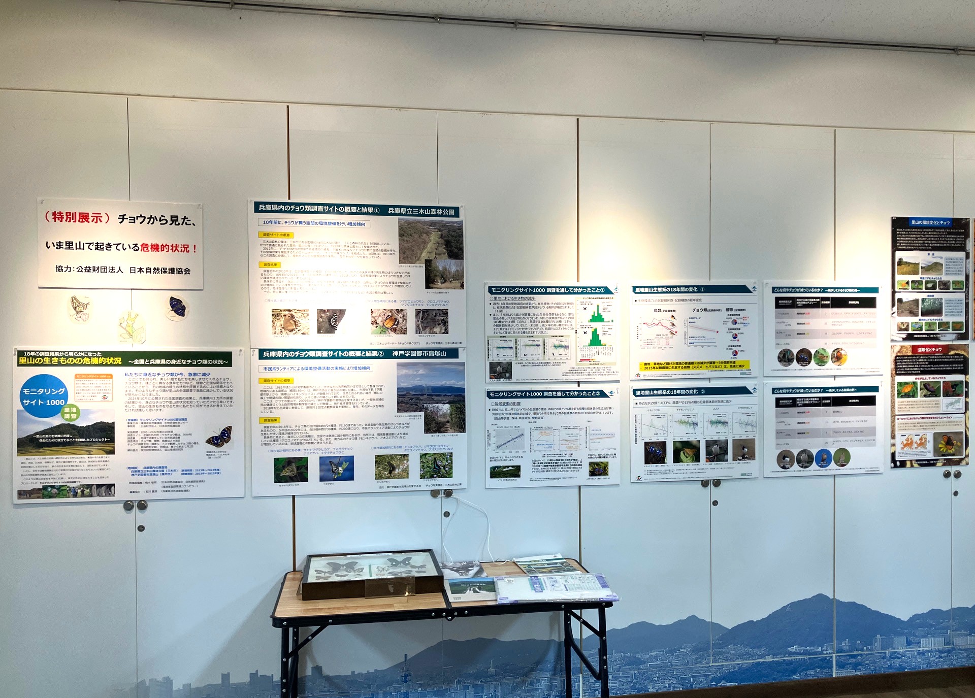 チョウから見た、いま里山で起きている危機的状況（パネル展示）